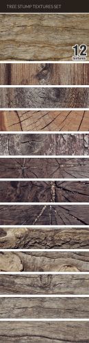 Designtnt - Tree Stump Textures Set 1