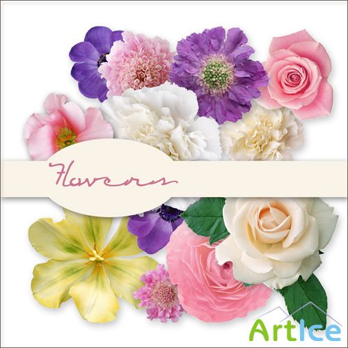 Scrap Set - Flowers 5 PNG Files