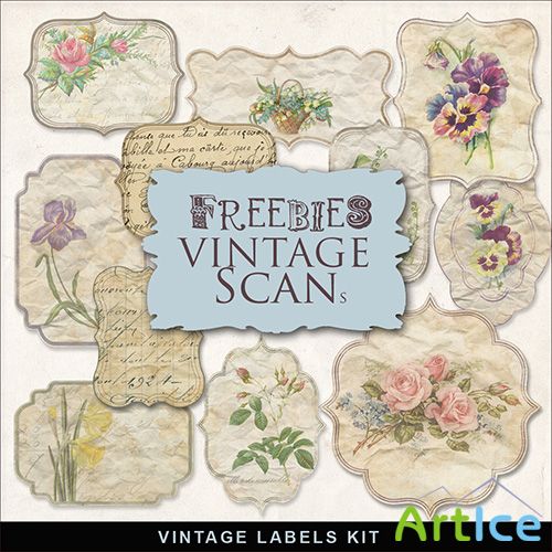 Scrap-kit - Vintage Style Labels 2013 - PNG Images - 2