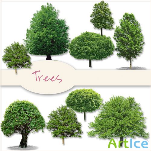 Scrap Kit - Trees PNG and JPG Files