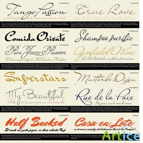 A Variety of Exclusive Fonts 32xTTFs