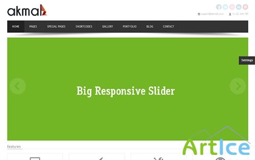 WrapBootstrap - Akmalz! Fully Customizable Template