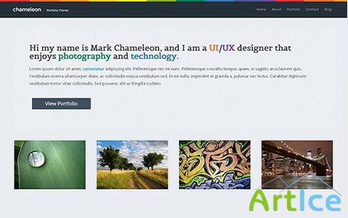 WrapBootstrap - Chameleon - Slick Portfolio Template