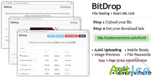 CodeCanyon - BitDrop v1.4 - File Hosting with Short URL Link