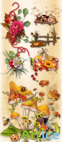 Autumn Decor PNG and JPG Files