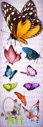 Bright Multi-Colored Butterflies PNG Files