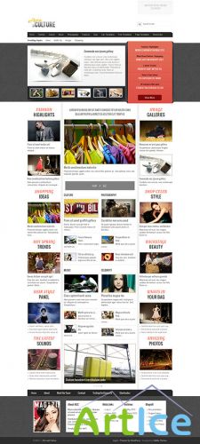 GabfireThemes - Arts and Culture v1.4 - Theme for WordPress