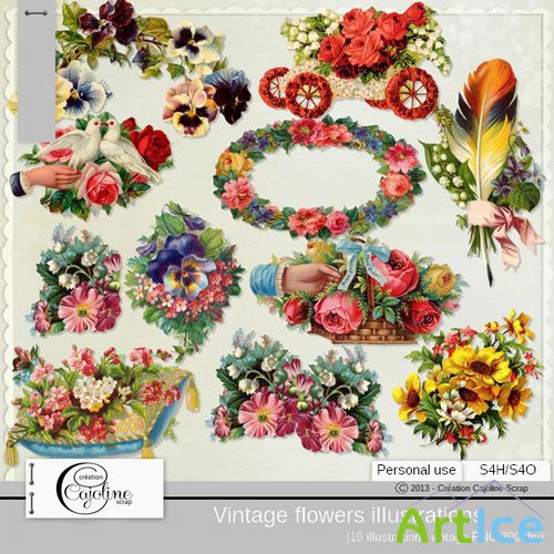 Vintage Flowers Illustrations 2 PNG Files