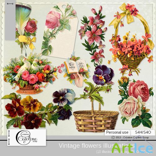 Vintage Flowers Illustrations 4 PNG Files