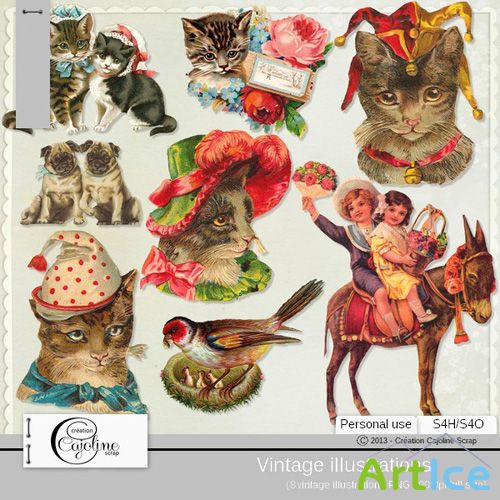 Vintage Illustrations 2 PNG Files