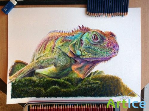 Art works by Dino Tomik