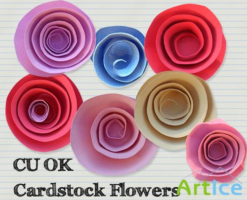 Cardstock Flowers PNG Files