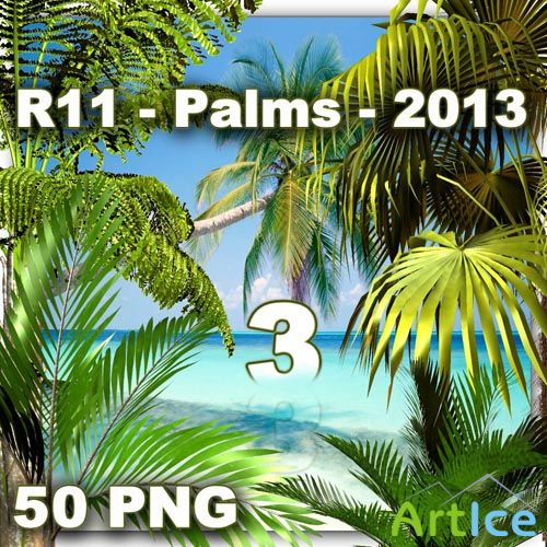 Palms 3 PNG Files