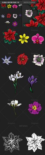 Winter Flowers Vector Illustrations Pack 110