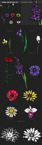 Autumn Flowers Vector Illustrations Pack 107