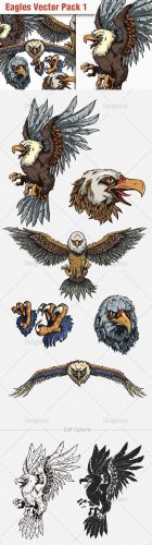 Eagles Vector Illustrations Pack 1