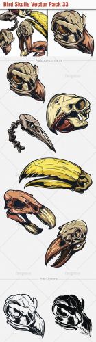 Bird Skulls Vector Illustrations Pack 33