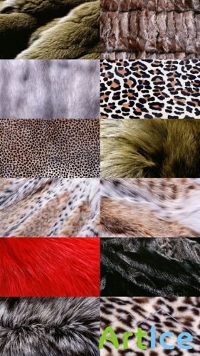 Textuers Fur and Skin JPG Files