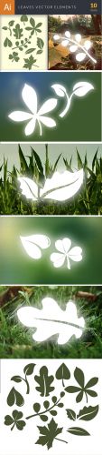 Simple Leaves Vector Elements Set 2