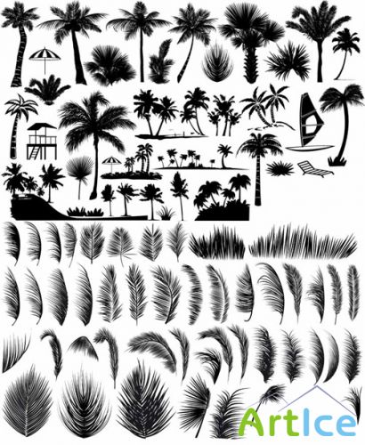 Vector Set - Palm and Leaves Shapes