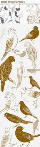 Birds Photoshop Brushes Pack 5