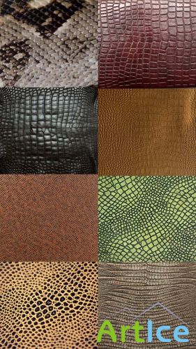 Snake Textures JPG Files