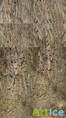 Bark Textures JPG Files