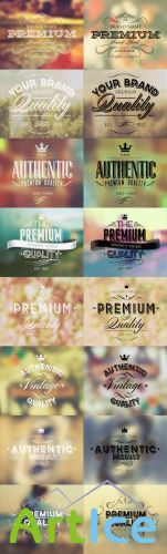 Typography Elegant Labels Vector Set