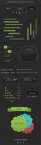 Chameleon Professional User Interface PSD Template