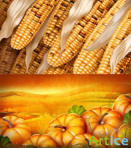 Corn Rows and Pumpkin Patch PSD