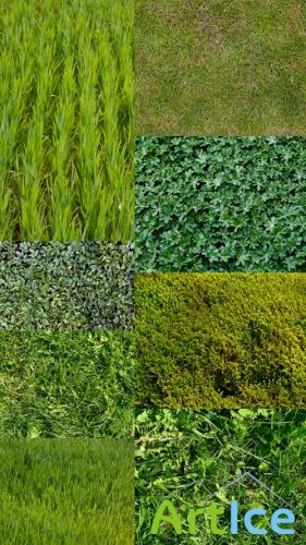 Textures Turf Grass JPG