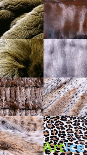 Textuers Fur and Skin