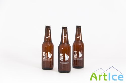 Beer Bottles Mock up Template PSD