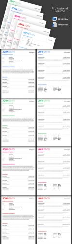 CreativeMarket - Professional Resume Template