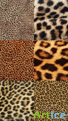 Leopard Skin Textures