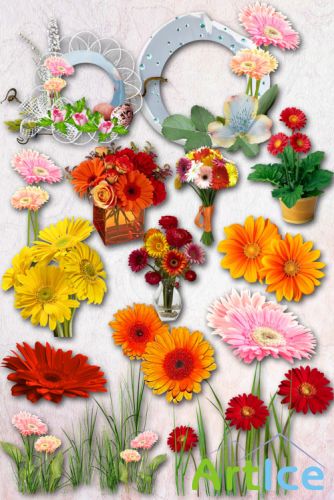 Gerbera PNG Files