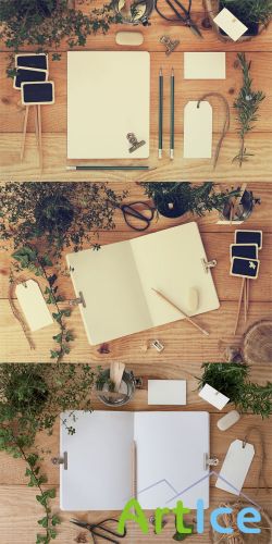 Stationery Mock ups with Nature PSD