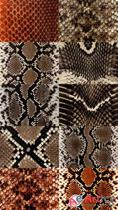 Snake Leather Textures JPG Files