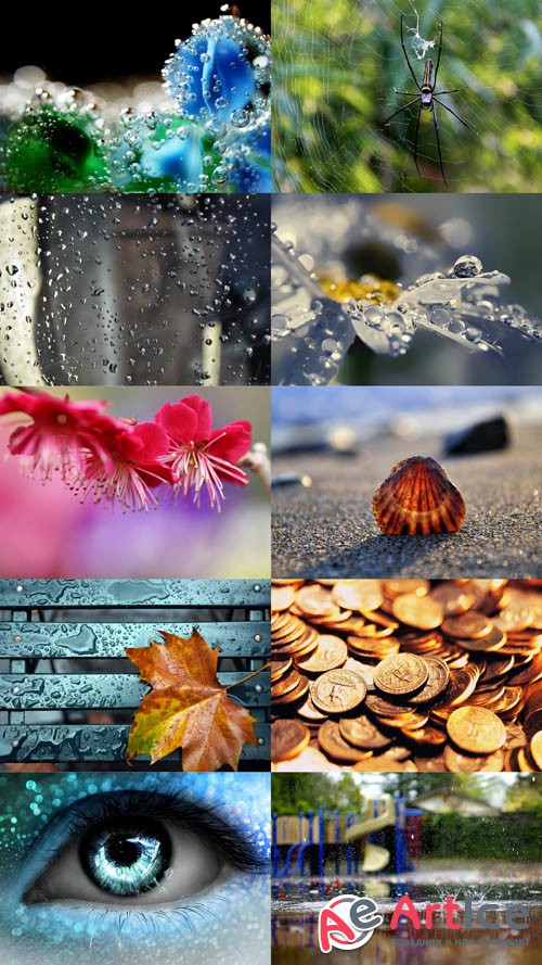 Wallpaper Macro Selection Set 1