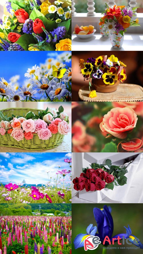 Beautiful Flowers Wallpapers Set 5