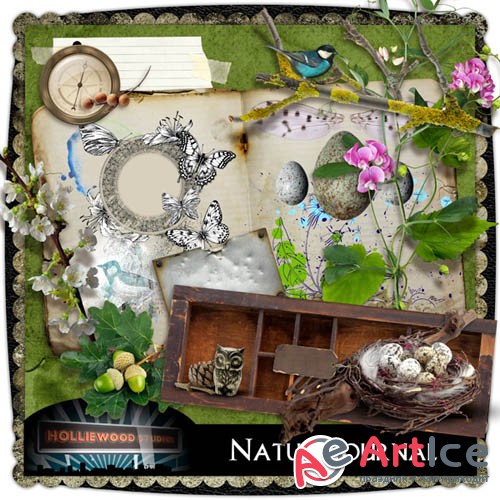 Scrap - Nature Journal PNG and JPG