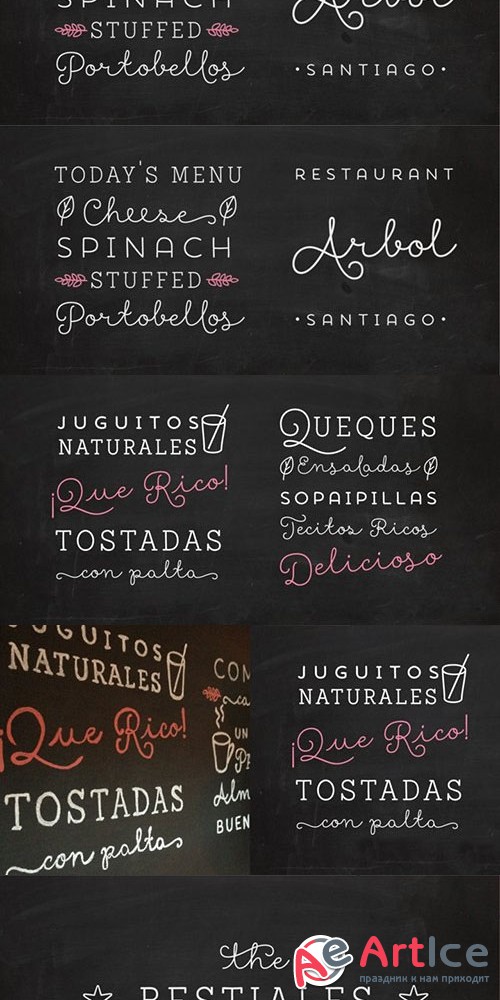 Showcase Font Family