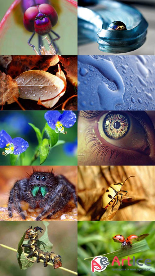 Wallpaper Macro Selection Set 2