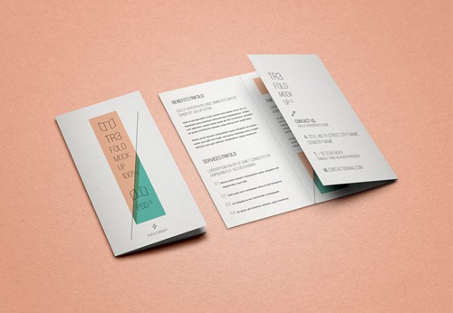 Trifold Mockup Vol 5