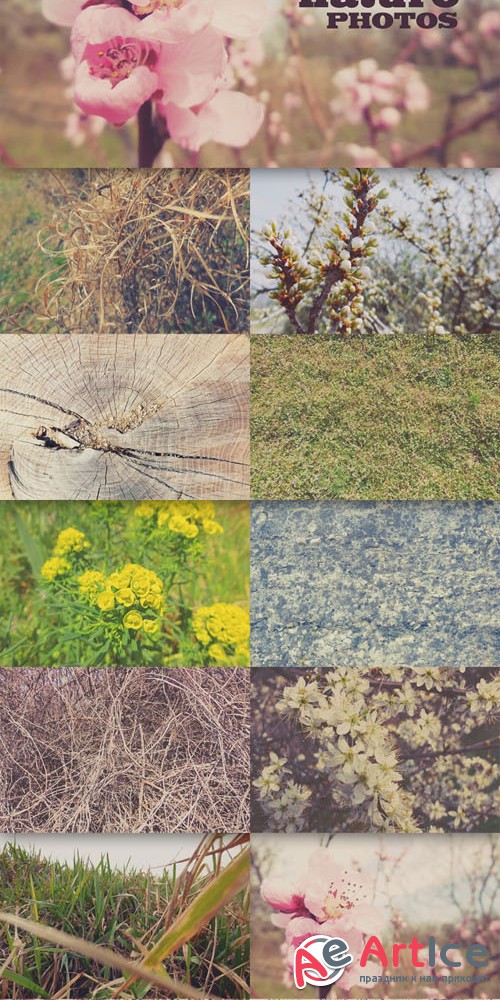 12 Quality Nature Photos Textures Vol.1