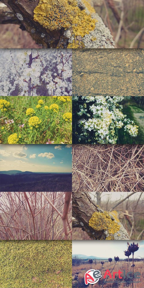 12 Quality Nature Photos Textures Vol.2