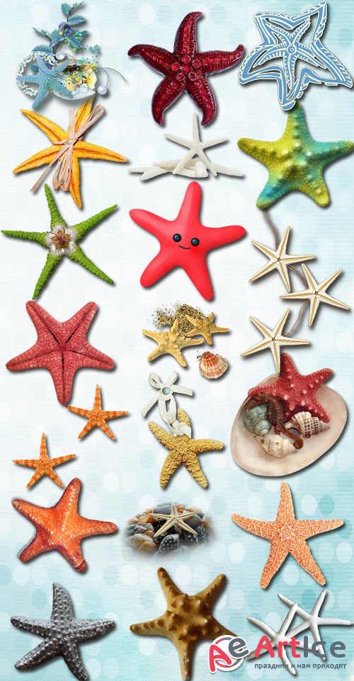 Starfish PNG Files