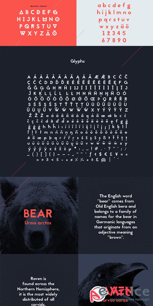 Jaapokki Font Family