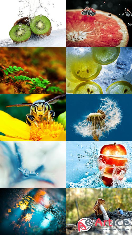 Wallpaper Macro Selection Set 3