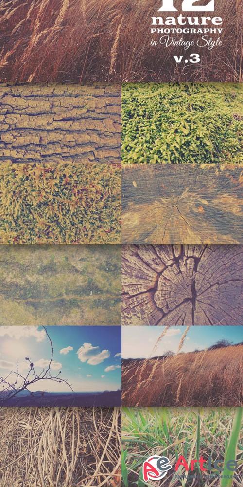 12 Quality Nature Photos Textures Vol.3